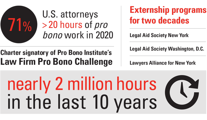 Pro Bono Infographic