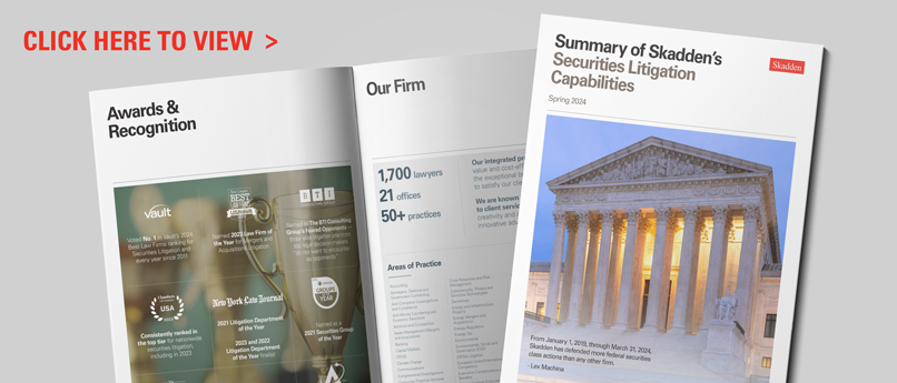 Securities Litigation Brochure Image