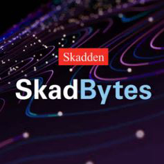 Skadbytes Image
