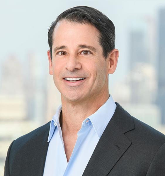 David M. Rievman Professionals Skadden, Arps, Slate, Meagher & Flom LLP