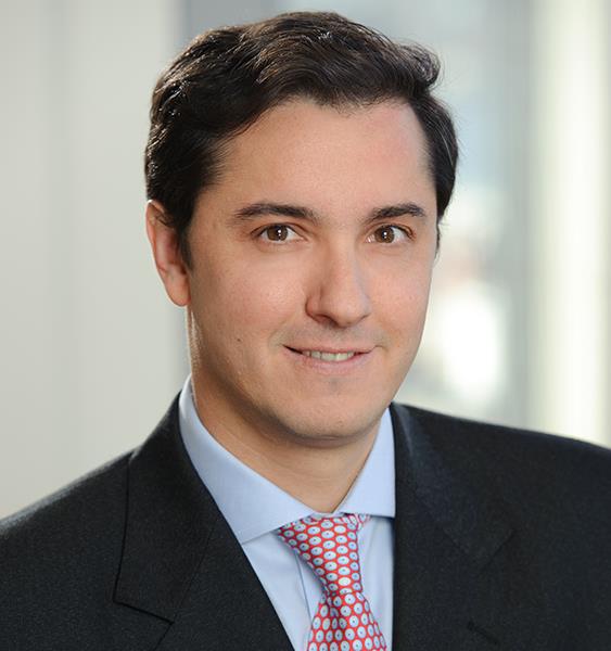 Hugo F. Triaca